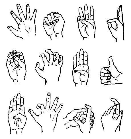 «пальцовки» — упражнения для развития мозга! - страна полезных советов - 2 февраля - 43715324265 - медиаплатформа миртесен