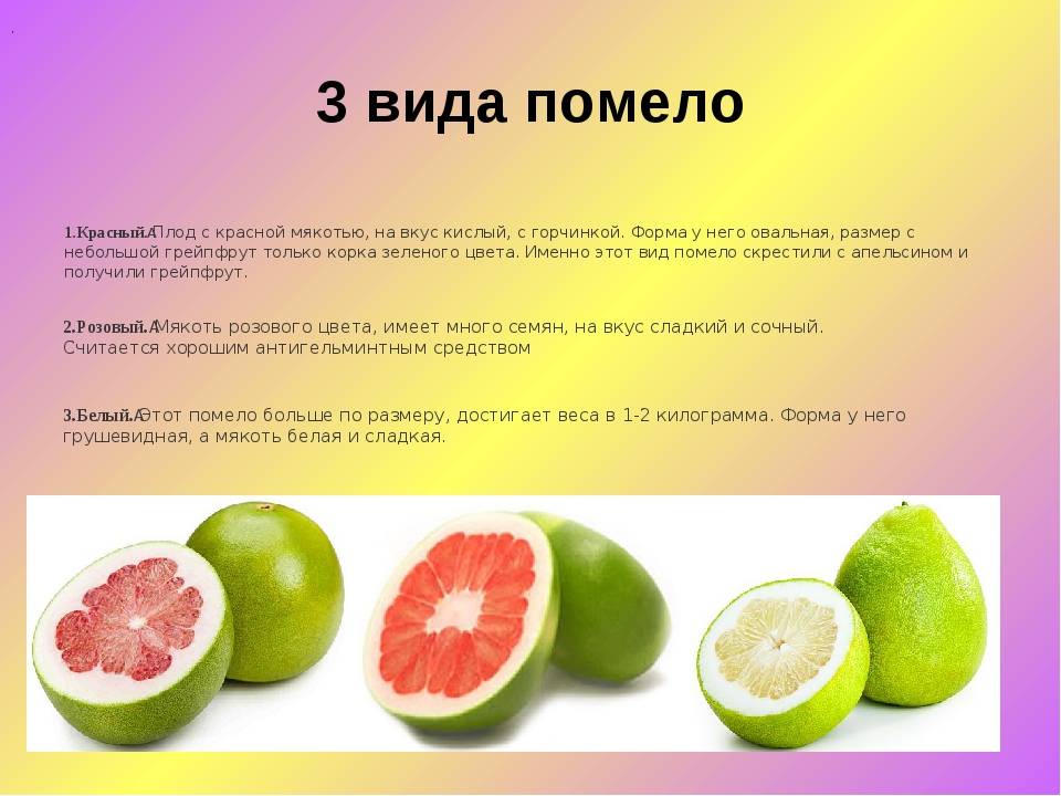 Калорийность грейпфрут. химический состав и пищевая ценность.