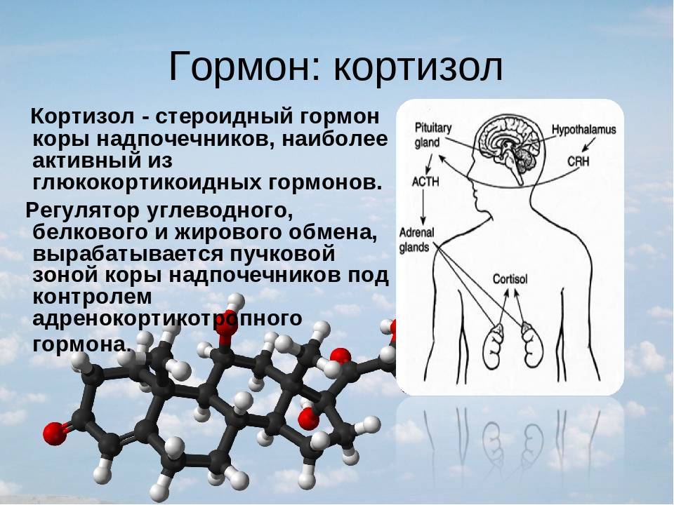Гормоны: что нужно знать о кортизоле и как этот гормон влияет на старение | vogue russia