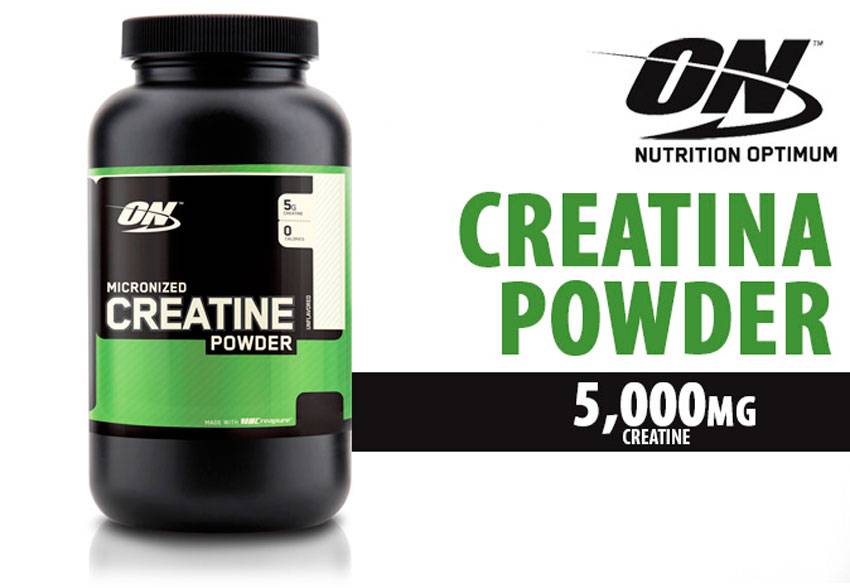 Обзор креатина micronized creatine powder от компании optimum nutrition