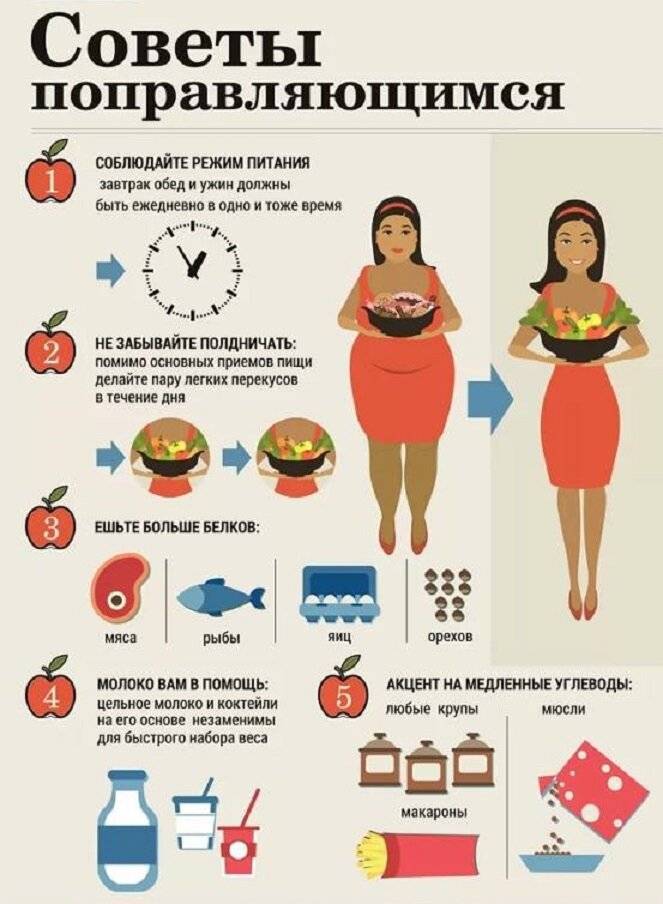 За сколько часов до сна можно есть, чтобы похудеть? | balproton.ru