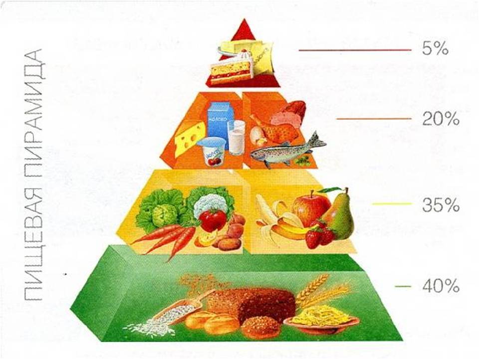 Пищевая пирамида питания здорового, правильного для похудения, с помощью руки