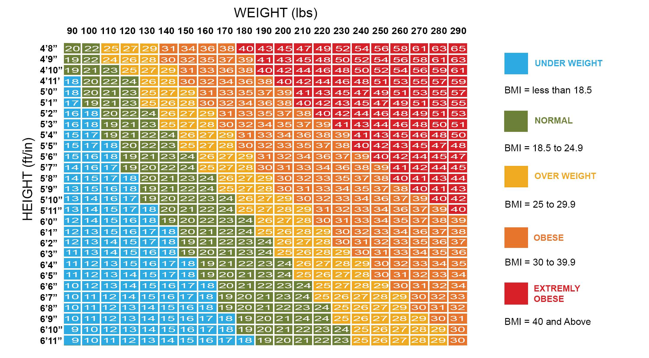 Формула идеального веса для женщин: как правильно рассчитать свой вес, учитывая рост, возраст и телосложение