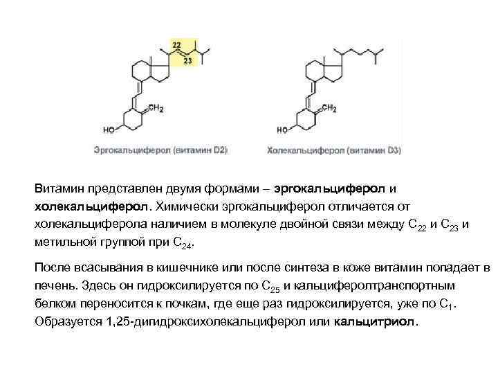 Сходства и различия витаминов д, д2, д3