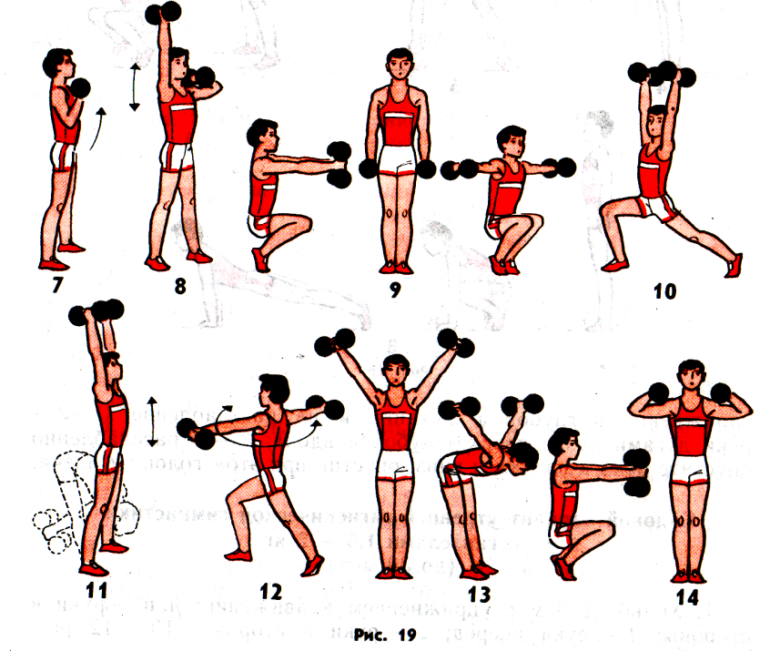 Упражнения с гантелями для женщин в домашних условиях (для рук, ног, груди и пресса)