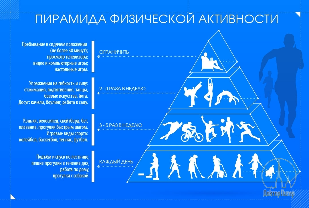 Пирамида в бодибилдинге: суть,виды, особенности, схемы тренировок