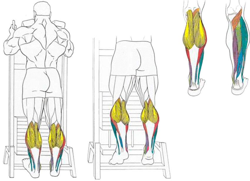 22 упражнения для ног в домашних условиях мужчине и женщине: самые эффективные тренировки для похудения