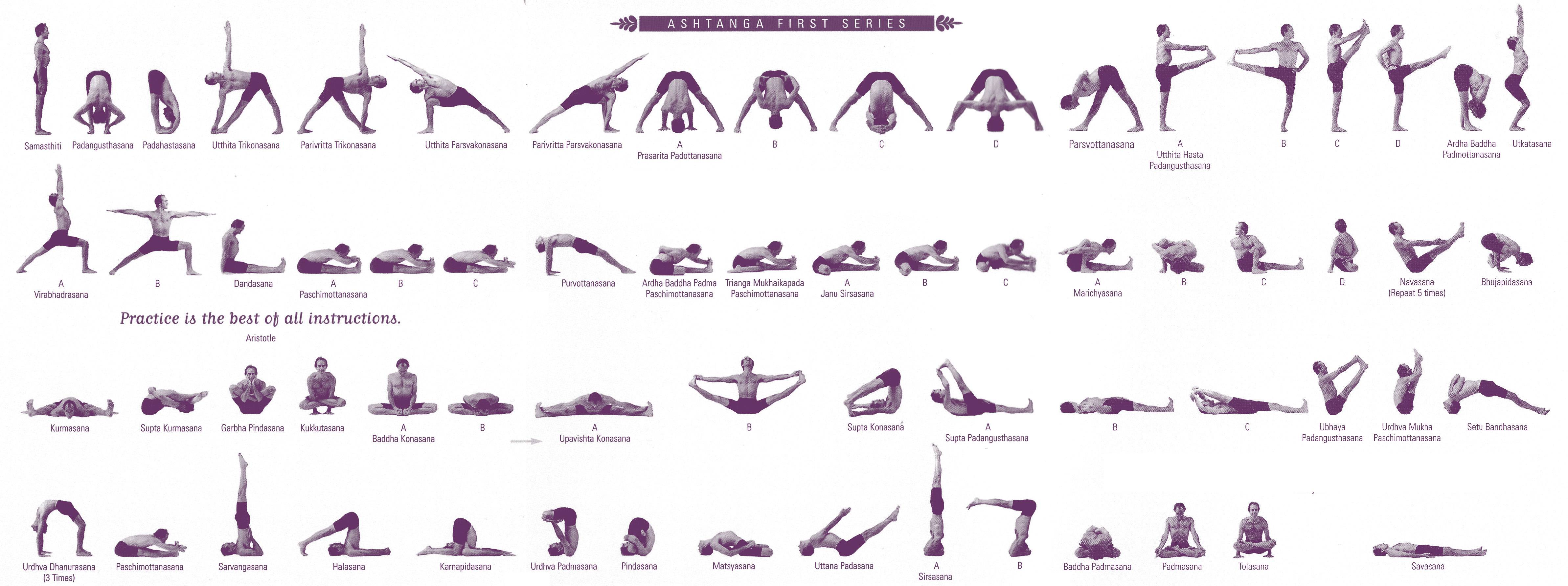 Асаны йоги для начинающих — 130 фото основных поз, их название, описание и особенности занятий в домашних условиях