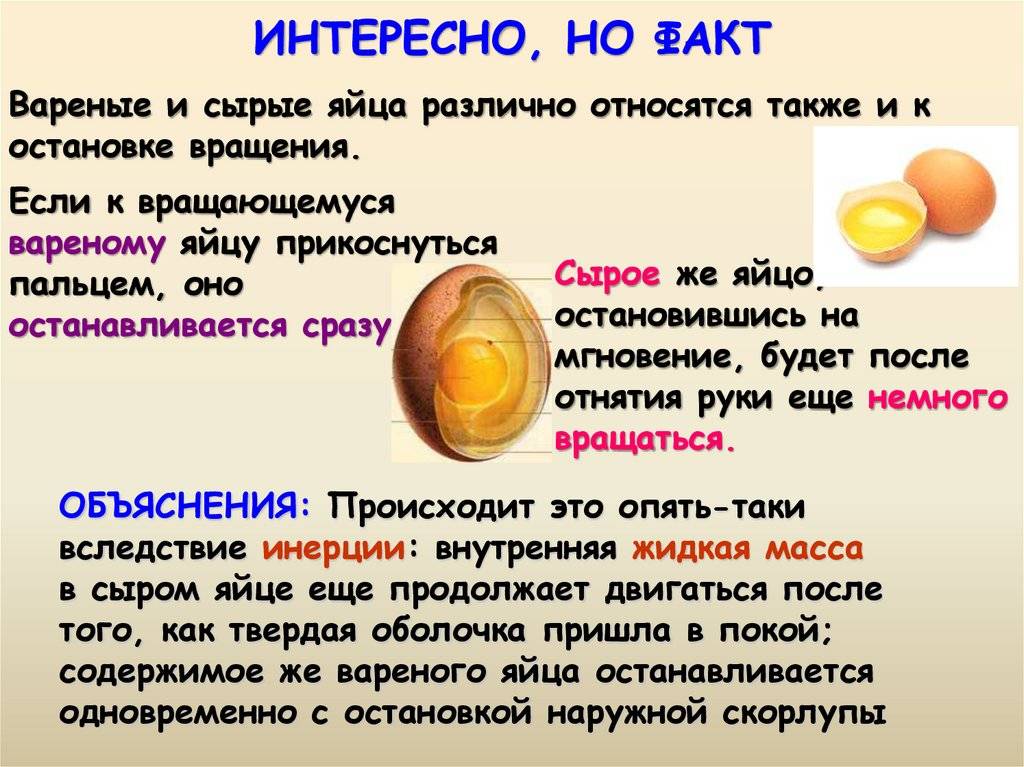 От чего зависит цвет желтка в яйце: как он связан со здоровьем курицы?