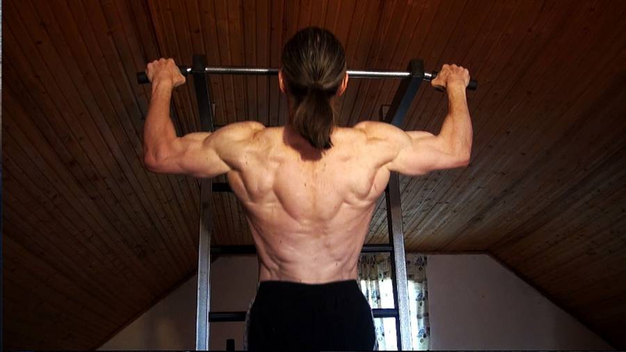 Широчайшая мышца спины: анатомия, функции, упражнения