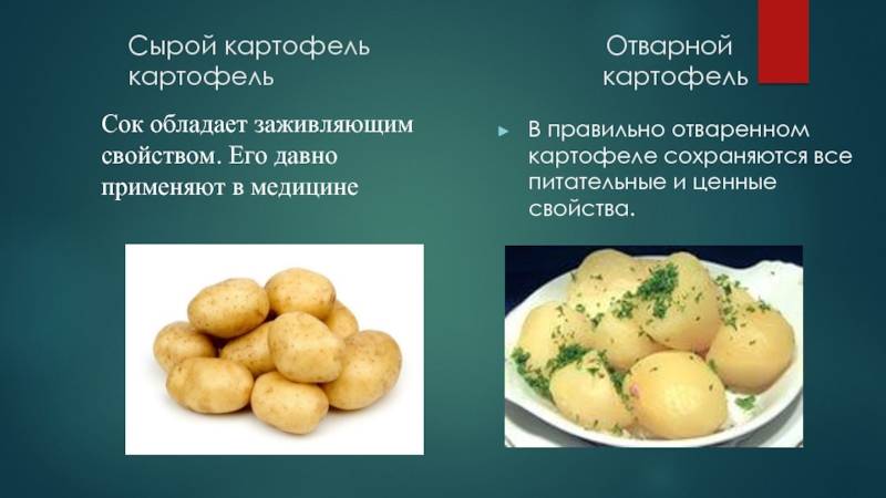 Калории в картофеле отварном с маслом, вареном, фри, жареном – проовощи.ру