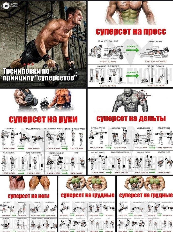 Суперсеты план тренировок