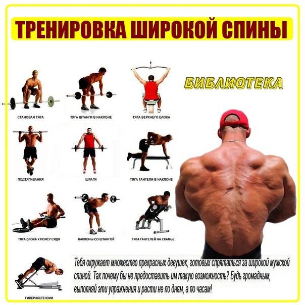 Эффективные упражнения для увеличения роста тела в высоту | rulebody.ru — правила тела