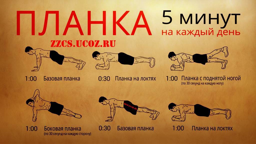 Упражнение планка: как правильно делать, сколько раз в день делать планку - glamusha