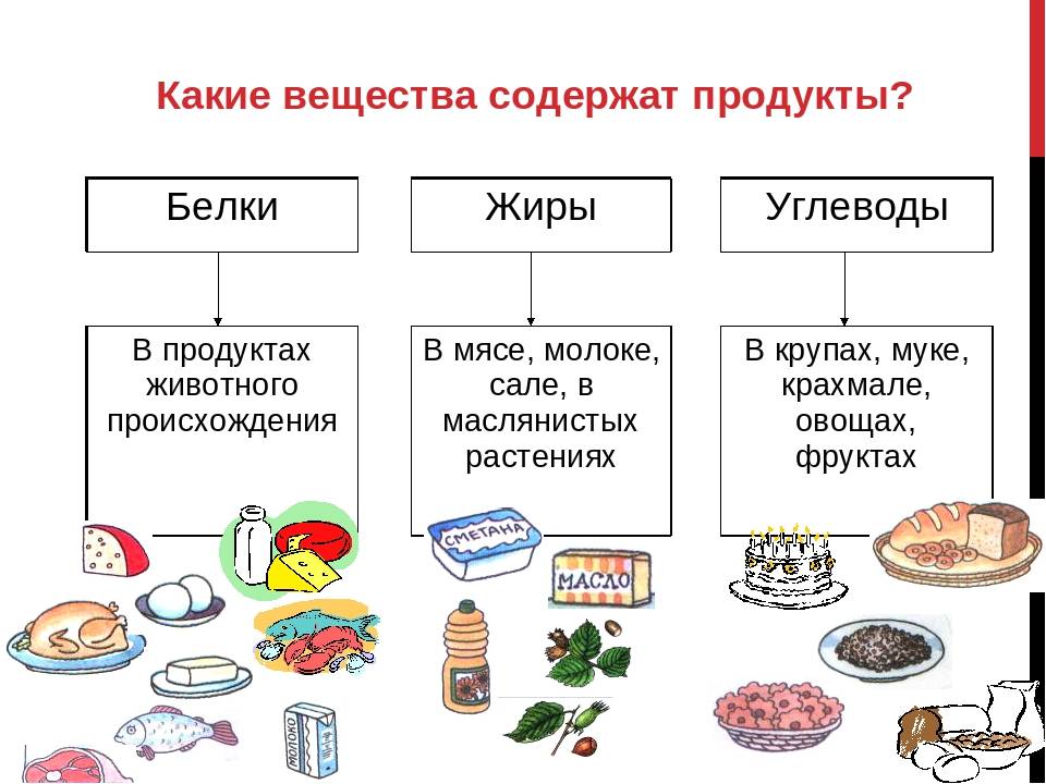 Назовите продукты общества