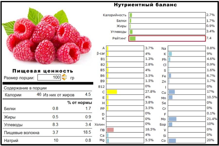 Малина — описание, полезные свойства ягоды