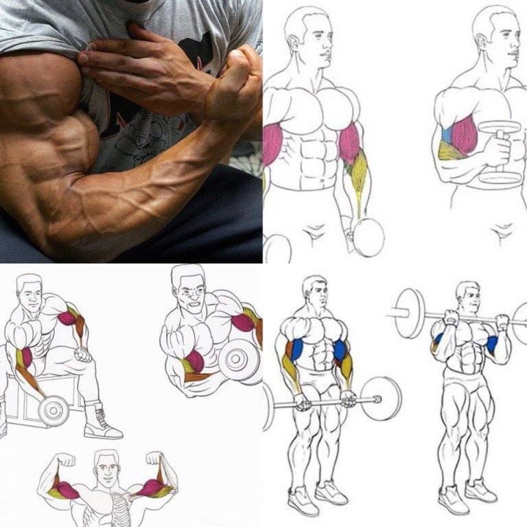 Как накачать мышцы отжиманиями - грудь, бицепс, плечи, руки, крылья