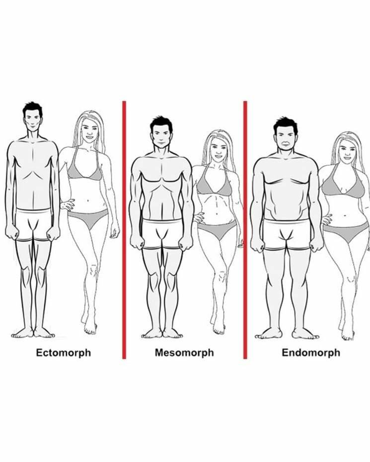 Как определить, кто ты — эндоморф, эктоморф или мезоморф?
