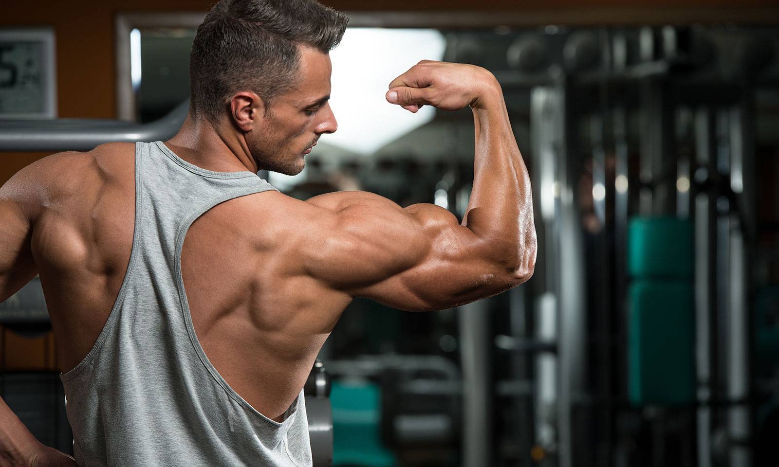 Как накачать мышцы с нуля? что нужно, чтобы нарастить мышечную массу?