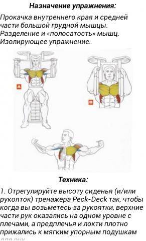 Верхние грудные мышцы: как накачать дома/зале? 10 упражнений для груди (фото + видео)