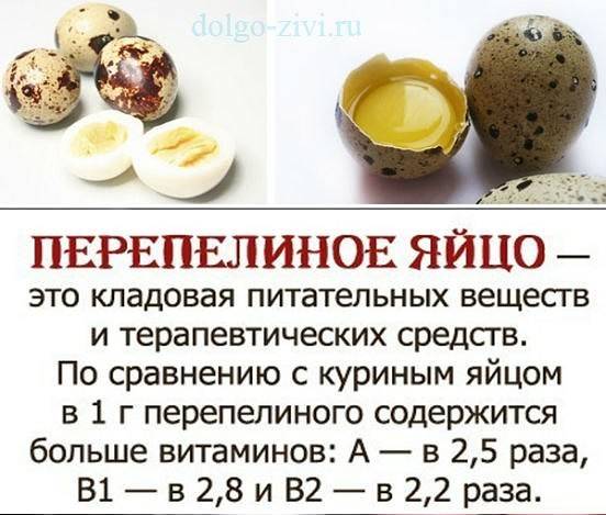 Яйцо перепелиное