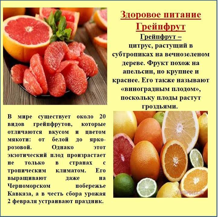 Грейпфрутовая диета на 7 дней | poudre.ru