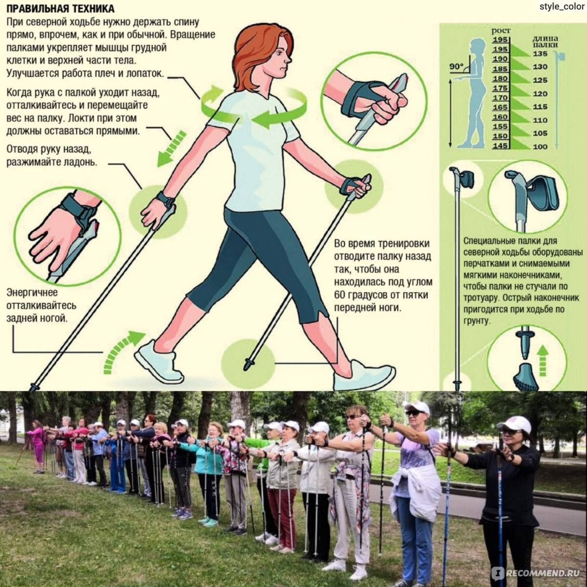 Скандинавская ходьба с палками для похудения: техника и правила, сколько нужно ходить