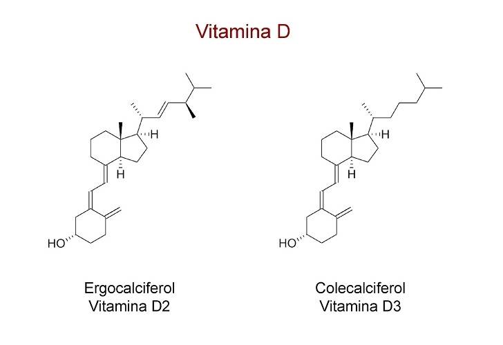 Чем отличается витамин d2 от d3: в чем резница между холекальциферолом и эргокальциферолом