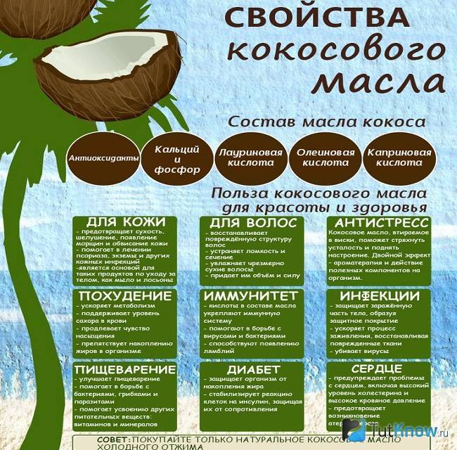 Сколько калорий в кокосе: мякоти, свежем, сушеном, молоке
