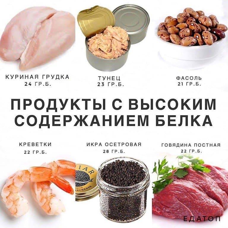 Таблица белковых продуктов для похудения | irksportmol.ru