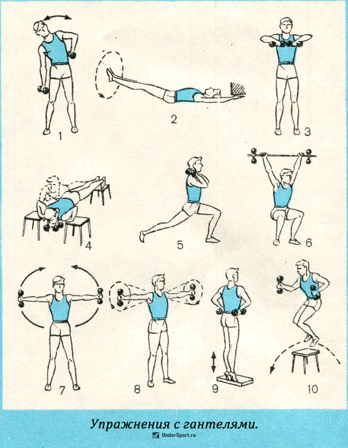 Упражнения с гантелями. уникальная система изометрических упражнений железного самсона
