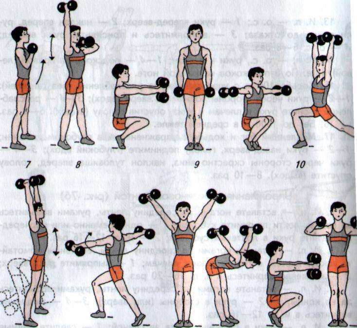 Комплекс упражнений на все группы мышц с гантелями — в картинках