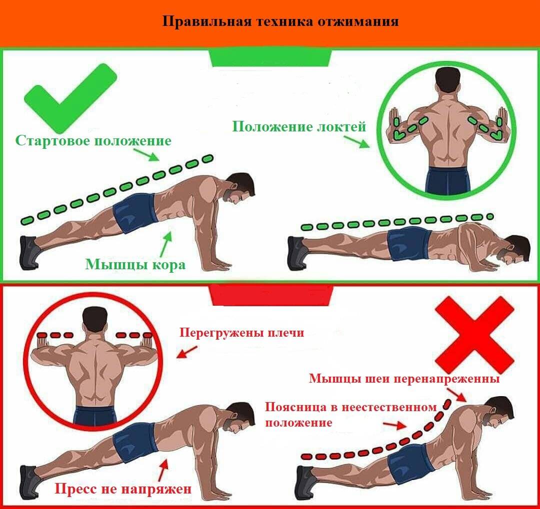 Как накачать большую грудь отжиманиями