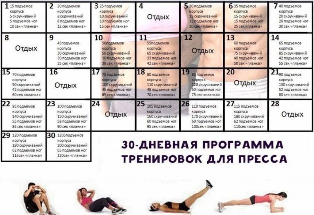 Как накачать пресс девушке: 18 упражнений и программы