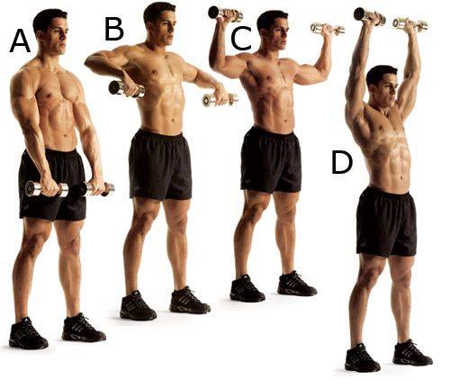 Кубинский жим и пугало – укрепляем мышцы и связки плеч